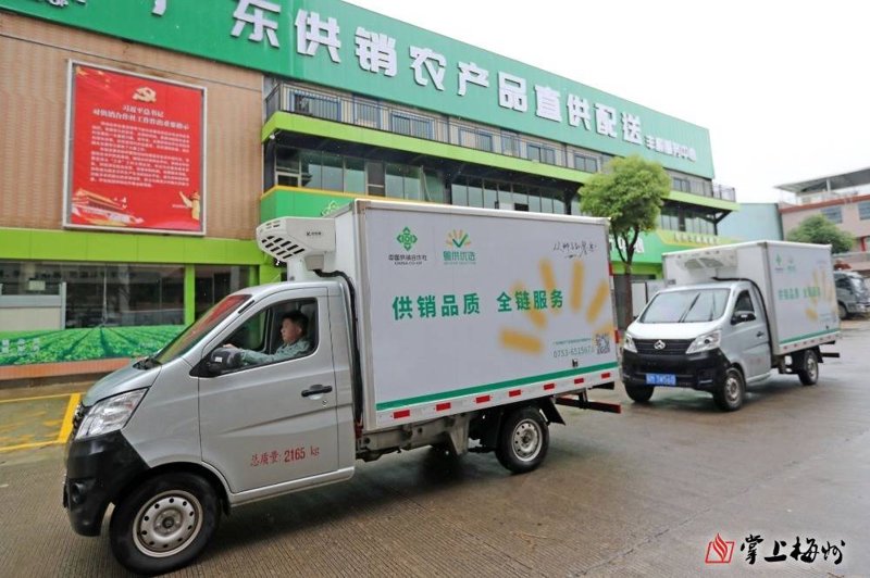 杂粮礼盒定制:传统与现代交融的艺术